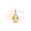 Charm Pandora Pendente Sol e Pérola 763035C01
