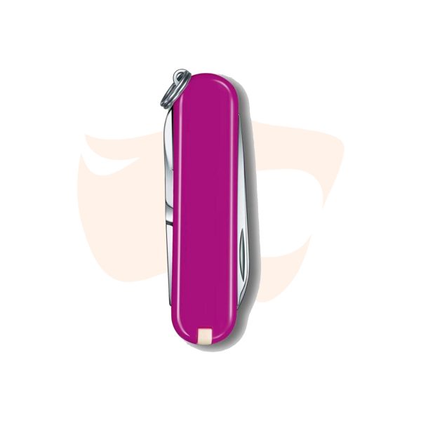 Canivete Victorinox Classic SD Colors - Rosa 0.6223.52G